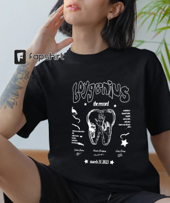 Boygenuiss Graphic Tour shirt, Boygenius Merch, Boygenius…