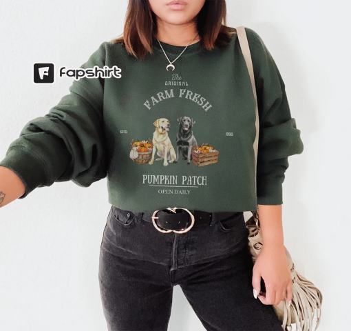 Labrador Retriever Pumpkin Patch sweatshirt, Black labrador retriever, Yellow labrador retriever, Labrador retriever mom, Labrador Retriever