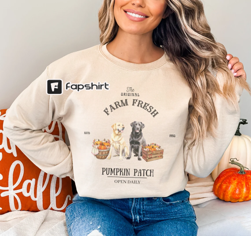 Labrador Retriever Pumpkin Patch sweatshirt, Black labrador retriever, Yellow labrador retriever, Labrador retriever mom, Labrador Retriever