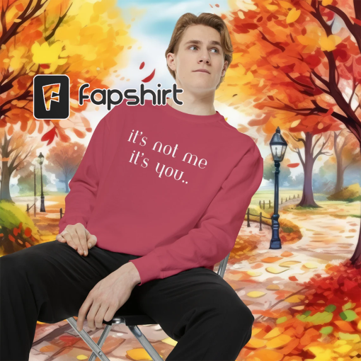 Its not me Its you Comfort Colors shirt, Comfort Colors Vintage, High Quality sweatshirt, Oversized Aesthetic Streetwear Style sweatshirt