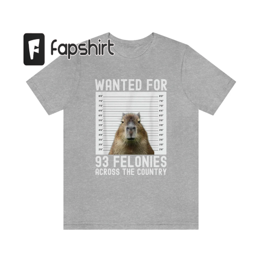 Capybara Mugshot Wanted Poster Meme, Capybara Committing Crimes Tee, Capybara Lover shirt, Capybara Funny Meme Shirt