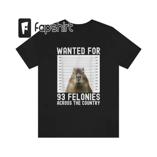 Capybara Mugshot Wanted Poster Meme, Capybara Committing Crimes Tee, Capybara Lover shirt, Capybara Funny Meme Shirt