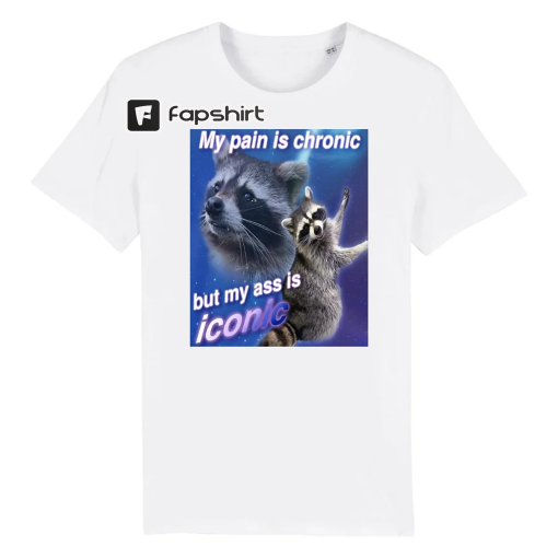 My Pain Is Chronic But My Ass Is Iconic Funny Raccoon Meme T-Shirt