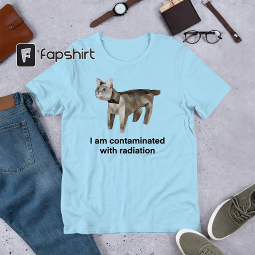 I Am Contaminated Funny Cat Meme Shirt / Ironic Shirt / Weirdcore Clothing / Low Poly Feline / Oddly Specific / Unhinged / Cursed