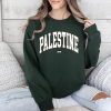 Palestine Sweatshirt, Free Palestine Hoodie, Palestine Flag Crewneck, Stand With Palestine Shirt, Palestine sweater, Gaza T shirt, Jerusalem