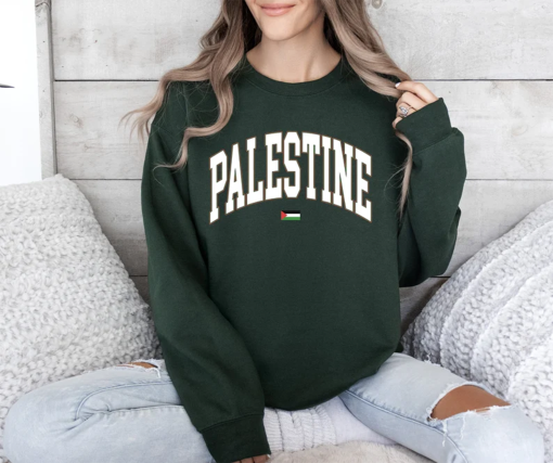 Palestine Sweatshirt, Free Palestine Sweater, Palestine Flag Crewneck, Stand With Palestine Shirt, Gaza Unisex College Hoodie,Palestine Gift