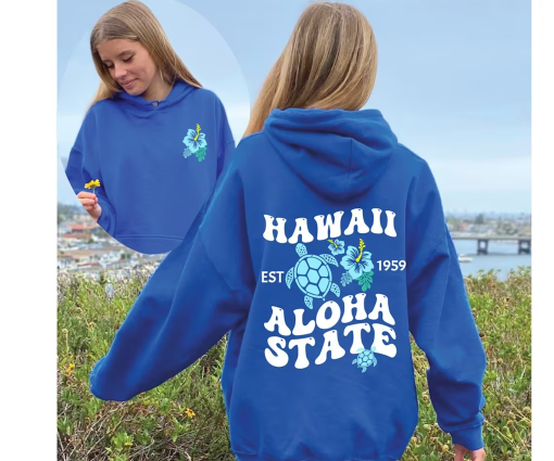 Aesthetic Hawaii Hoodie, Aloha State Sweatshirt,Beach Hoodie,Hawaii Beach Hoodie, Summer Hoodie, Lake Sweatshirt