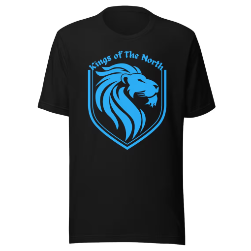 Men’s Detroit Lions 2023 NFC North Division Champions Conquer T-Shirt (Copy)