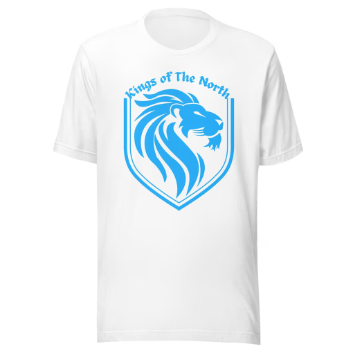 Men’s Detroit Lions 2023 NFC North Division Champions Conquer T-Shirt (Copy)