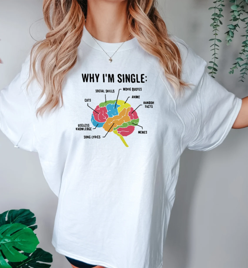 Why I’m Single Comfort colors sweatshirt and shirts, Funny List Meme Tee, Trending Shirt, Oddly Shirt, Single Shirt, Cool Shirt gift, hoodie