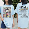 Princess Eras Tour T-Shirt, Eras shirt, Disneyland shirt, Disneyworld shirt, disney princess