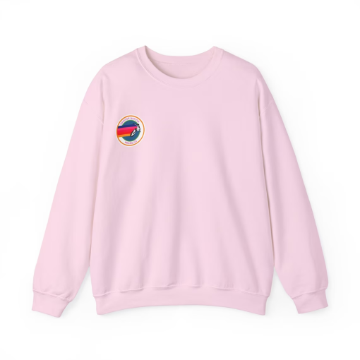 Preppy Aviator Nation Dupe Crewneck