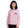 Preppy Aviator Nation Dupe Crewneck