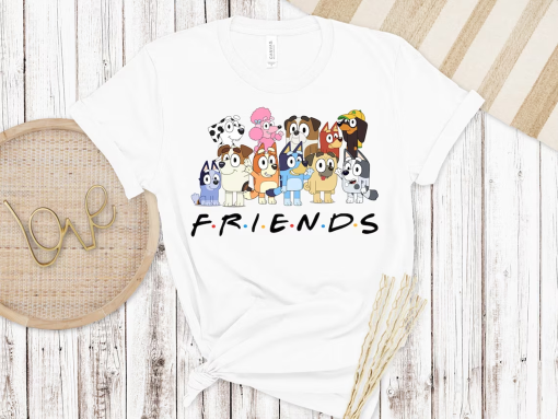 Bluey Friends Shirt, Bluey Birthday Party Tshirt, Bluey Character Shirt, Bluey Heeler Family Shirt, Bluey Birthday Gift, Bluey and Bingo Tee