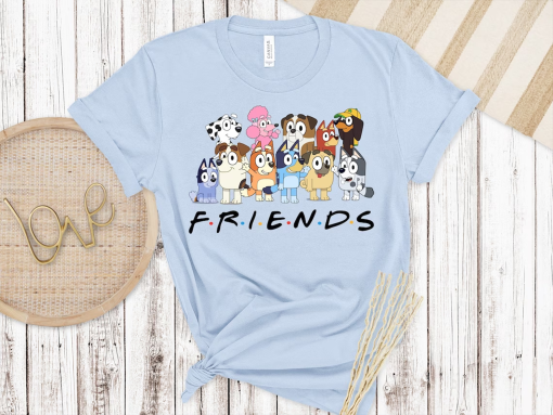 Bluey Friends Shirt, Bluey Birthday Party Tshirt, Bluey Character Shirt, Bluey Heeler Family Shirt, Bluey Birthday Gift, Bluey and Bingo Tee