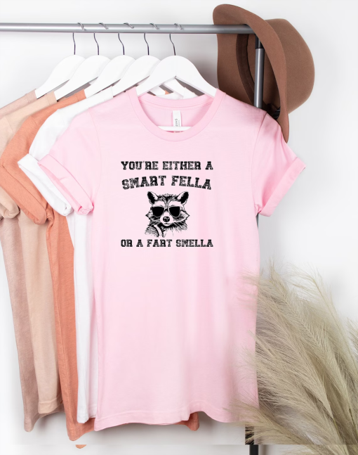 Are You A Smart Fella Or Fart Smella Retro Cartoon Shirt, Weird Sweater, Meme Shirt, Trash Panda Shirt, Trending Shirts, Gift for Friends