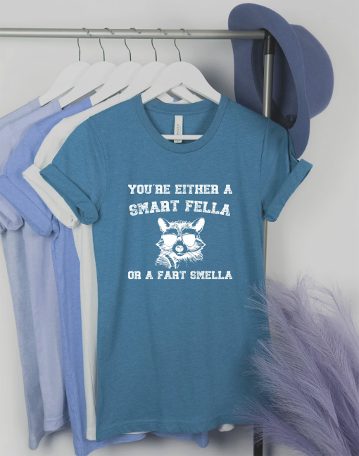 Are You A Smart Fella Or Fart Smella Retro Cartoon Shirt, Weird Sweater, Meme Shirt, Trash Panda Shirt, Trending Shirts, Gift for Friends