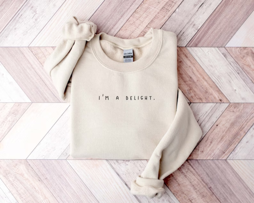 Funny Sweatshirt, I’m a Delight, Sarcastic Sweatshirt, Funny Shirt, Funny Unisex Shirt, Quote Sweatshirt, dry humor, attitude shirt