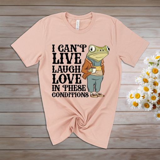 I Can’t Live Laugh Love in These Conditions Tshirt,Frog Tshirt, Frog Office Worker Tee, Gen Z Humor Shirt, Funny Graphic Tee, Food Humor,