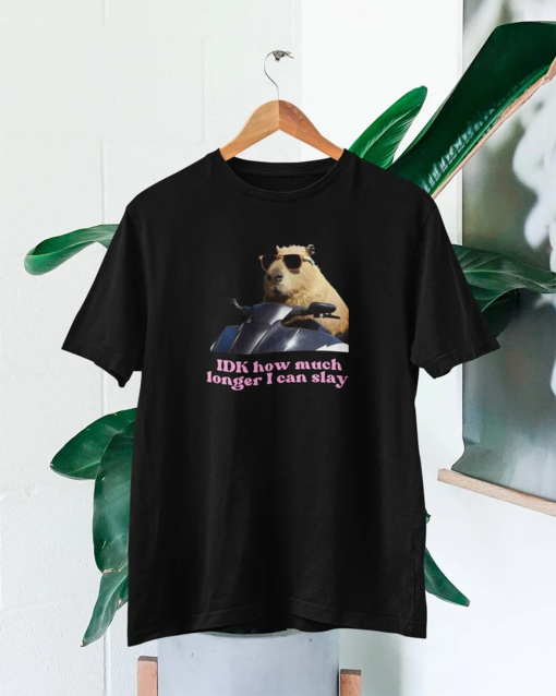 IDK How much longer I can slay T-shirt | Slay T-shirt | Funny top | TikTok fans | Capybara top | Funny Capybara Slay T-shirt | Funny t-shirt