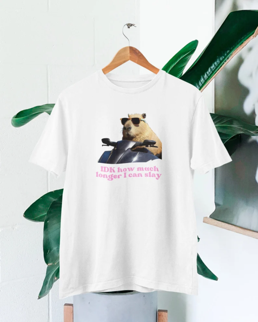 IDK How much longer I can slay T-shirt | Slay T-shirt | Funny top | TikTok fans | Capybara top | Funny Capybara Slay T-shirt | Funny t-shirt