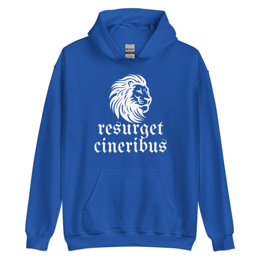 Detroit Lions Football hoodie