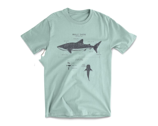 Whale Shark Anatomy T-shirt, Whale Shark T shirt, Marine Biology Shirt, Nautical T Shirt, Shark Gift, Shark Shirt, Beach T shirt