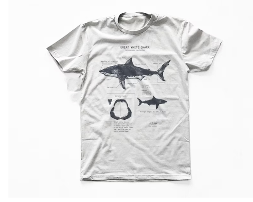 Great White Shark Anatomy T-shirt, Shark Shirt, Great White Shark Biology Shirt, Shark Gift, Great White Shark Drawing, Marine Biology Shirt