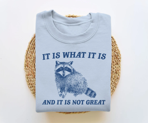 It Is What It Is And It Is Not Great, Funny Sweatshirt, Raccoon Sweatshirt, Cartoon Meme Top, Vintage Cartoon Sweater, Unisex