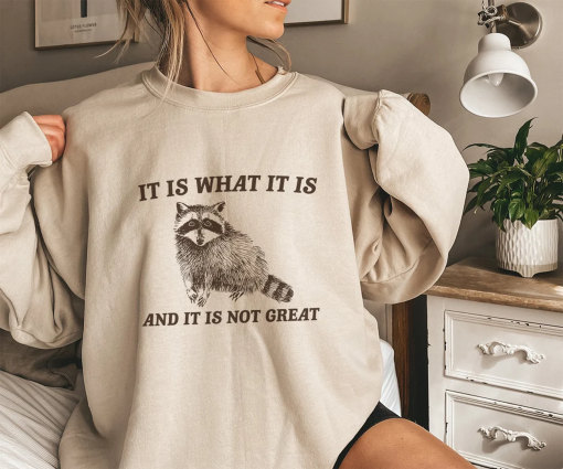 It Is What It Is And It Is Not Great, Funny Sweatshirt, Raccoon Sweatshirt, Cartoon Meme Top, Vintage Cartoon Sweater, Unisex