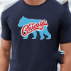 vintage Chicago Cubs / 80s Cubs shirt / 1980s Chicago Cubs heather grey single stitch t shirt Medium