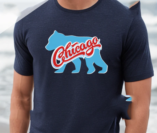 Vintage Chicago Cubs Shirt, Chicago Cubs Apparel, Chicago Sports Gift, Baseball Mom Shirt, Baseball Clothing Gift, Chicago Flag Shirt