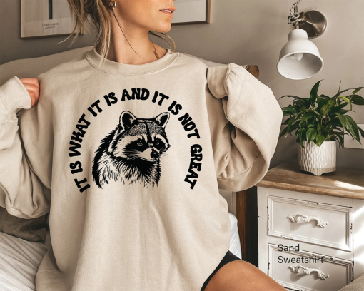 Aesthetic Preppy Shirt, It Is What It Is And It Is Not Great Shirt, Raccoon Meme T Shirt, Quote Shirts, Mood Gifts, Funny Mood Shirt,E6731