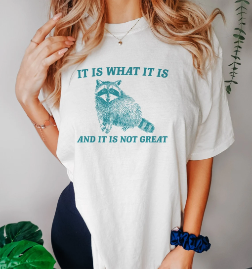 It Is What It Is And It Is Not Great – Vintage Drawing T Shirt, Raccoon Meme T Shirt, Funny Trash Panda T Shirt, Unisex Tee