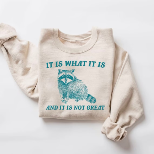 It Is What It Is And It Is Not Great Sweatshirt, Mental Health Sweatshirt, Funny Sweatshirt Women, Meme Sweatshirt, Raccoon Shirt, Gag Tee