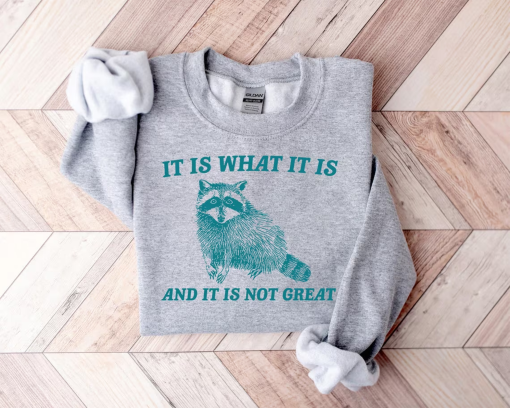 It Is What It Is And It Is Not Great Sweatshirt, Mental Health Sweatshirt, Funny Sweatshirt Women, Meme Sweatshirt, Raccoon Shirt, Gag Tee