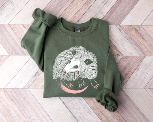 Opossum Sweatshirt, Opossum Lover Shirt, Cute Sweatshirt, Fall Oversized Hoodies