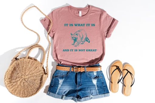 It Is What It Is And It Is Not Great Shirt, Funny Vintage Drawing T-Shirt, Raccoon Meme Shirt, Mood Gifts, Funny Mood Sweatshirt, Funny Meme