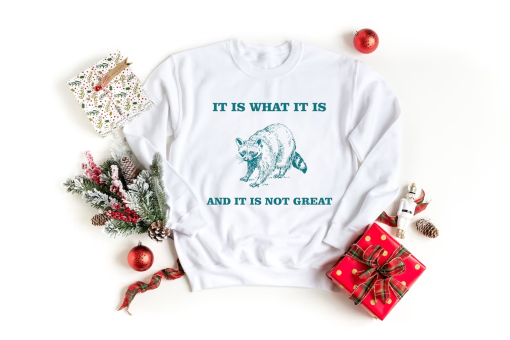 It Is What It Is And It Is Not Great Shirt, Funny Vintage Drawing T-Shirt, Raccoon Meme Shirt, Mood Gifts, Funny Mood Sweatshirt, Funny Meme