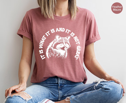 Aesthetic Preppy Shirt, It Is What It Is And It Is Not Great Shirt, Raccoon Meme T Shirt, Quote Shirts, Mood Gifts, Funny Mood Shirt,E6731