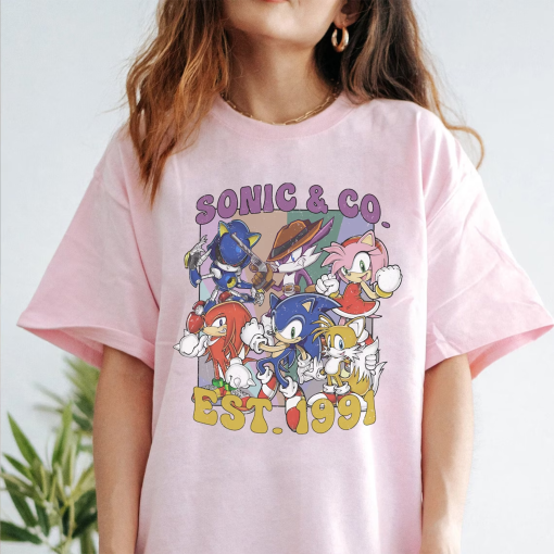 Vintage 1991 Sonic The Hedgehog and Co. Comfort Colors Tee, Sonic Enthusiast Matching Group Shirt, Family Parties & Fun Gatherings