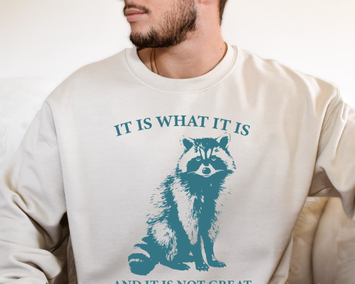 It Is What It Is And It Is Not Great Sweatshirt, Vintage Shirt, Raccoon Sweatshirt, Mental Health Sweatshirt, Funny Sweatshirt Women