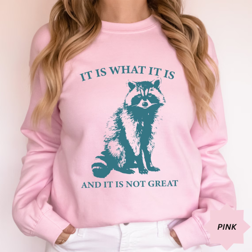 It Is What It Is And It Is Not Great Sweatshirt, Vintage Shirt, Raccoon Sweatshirt, Mental Health Sweatshirt, Funny Sweatshirt Women