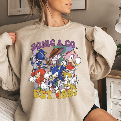 Vintage 1991 Sonic The Hedgehog and Co. Comfort Colors Tee, Sonic Enthusiast Matching Group Shirt, Family Parties & Fun Gatherings