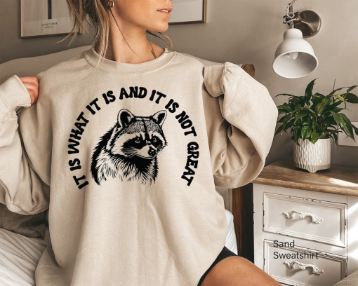 Aesthetic Preppy Shirt, It Is What It Is And It Is Not Great Shirt, Raccoon Meme T Shirt, Quote Shirts, Mood Gifts, Funny Mood Shirt,E6731