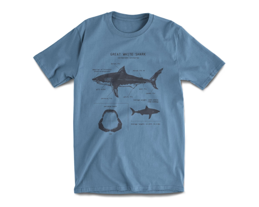 Great White Shark Anatomy T-shirt, Shark Shirt, Great White Shark Biology Shirt, Shark Gift, Great White Shark Drawing, Marine Biology Shirt