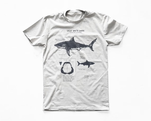 Great White Shark Anatomy T-shirt, Shark Shirt, Great White Shark Biology Shirt, Shark Gift, Great White Shark Drawing, Marine Biology Shirt