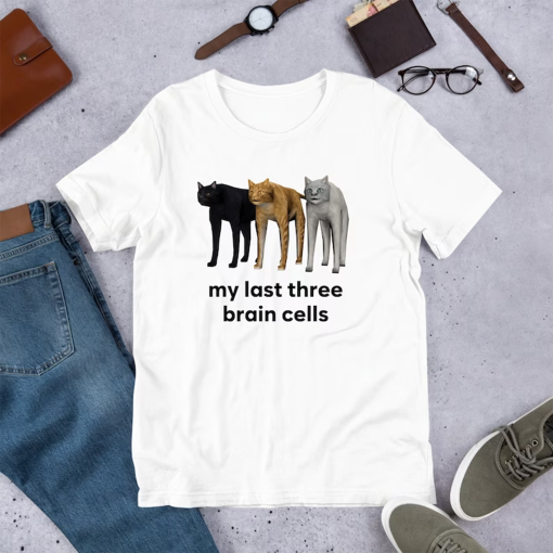 My Last Three Brain Cells Cats, Funny Meme Shirt, Ironic Shirt, Cat Lover Gift, Oddly Specific, Unhinged Shirt, Cursed, Cringe