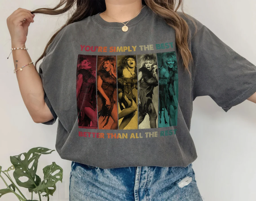 Vintage Tina Turner You’re Simply the Best Shirt, Rock N Roll Shirt, Rock Music Fans Gift, Broadway Musical Tee