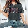 Comfort Colors® Vintage University of Illinois Logo Sweatshirt, NCAA Illinois Fighting Illini Shirt, University of Illinois